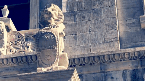 School Learn GIF by Casol