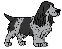 Cocker Spaniel Dog Sticker