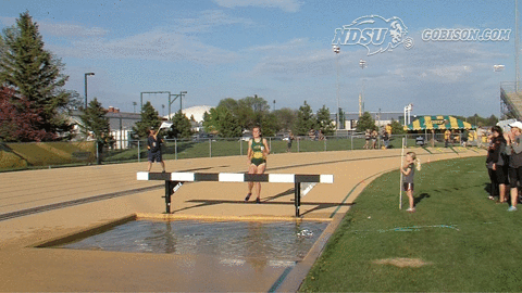 north dakota state bison GIF by NDSU Athletics
