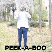 Peek-A-Boo Hello GIF by I Love That For You