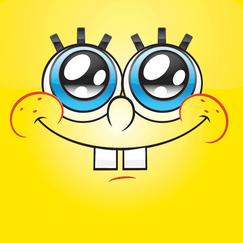 GIF by SpongeBob SquarePants