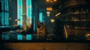 Season 3 Netflix GIF by The Umbrella Academy