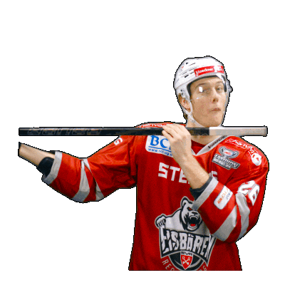 Hockey Del2 Sticker by Eisbären Regensburg