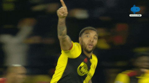 Happy Celebration GIF by MolaTV