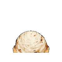 Canadian Icecream Sticker by Demetres