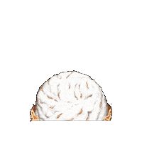 Icecream Coconut Sticker by Demetres