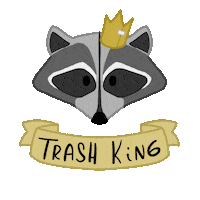 GreyAgma trash raccoon practice beginner Sticker