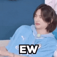 Stray Kids Kpop Meme GIF by lgcapucci