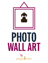 Photo Shoot Dog Sticker by puppytales