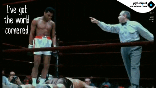 GIF by elCinema.com