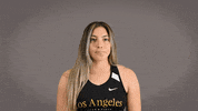 Cal State La Track GIF by Cal State LA Golden Eagles