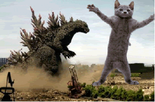 party cat dancing GIF