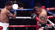 Episode 1 Knockout GIF by SHOWTIME Sports