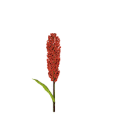 Sorgo Igrowth Sticker by Advanta Semillas Argentina