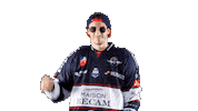 Hockey Ice Sticker by Les Ducs d'Angers