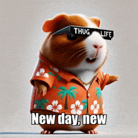 New Day Wisdom GIF by Guinea Gambino