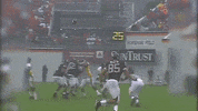 GIF by WVU Sports