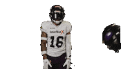 American Football Sticker by Frankfurt Galaxy
