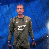 Sport Bundesliga GIF by TSG Hoffenheim