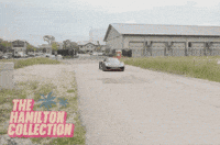 Bowling Pins GIF by TheHamiltonCollection