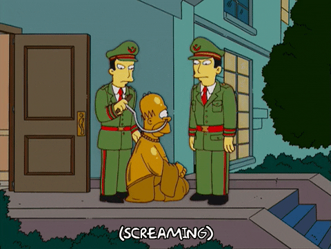 homer simpson GIF