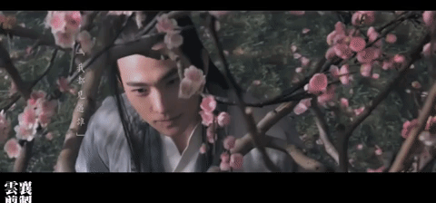 san sheng san shi shi li tao hua GIF