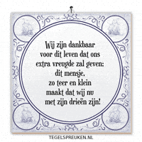 Nl Trots GIF by Tegelspreuken.nl