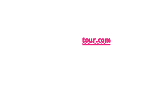Sticker by Cool Dingo Tour