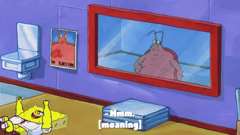 season 9 GIF by SpongeBob SquarePants