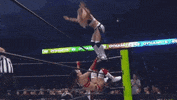 Hikaru Shida ÄEw GIF by All Elite Wrestling on TNT