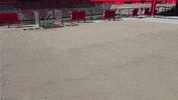 Shi Stadium GIF by Rutgers Football