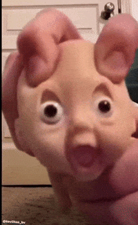 Baby Wow GIF
