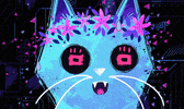 Awkward Cat GIF