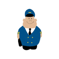 Fly Airplane Sticker by Ameriflight