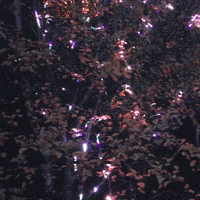 3D Tree GIF by Joanie Lemercier