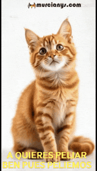 Amigos Damas GIF by Murcianys LLC