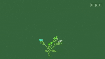 bird frog GIF by Marcie LaCerte