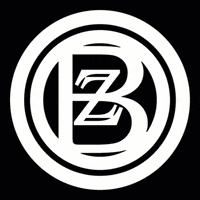 BOZZCompany company bozz bozz company GIF