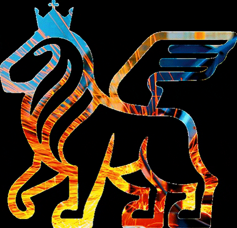 Oaxaca Inversion GIF by MagueyToken