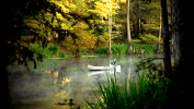 oklahoma GIF