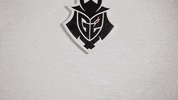 Confused League Of Legends GIF by G2 Esports