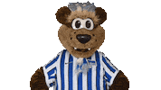 Hertha Berlin Sticker by Hertha BSC