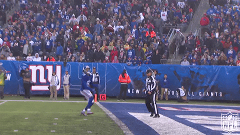 2018 Nfl Football GIF by NFL