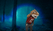 Washington State Go Cougs GIF by WSU Pullman