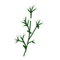 Flower Skincare Sticker by iWhite Korea Official
