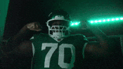 Football Nfl GIF by New York Jets