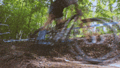 mountain biking fun GIF by Red Bull
