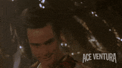 jim carrey what GIF