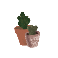 Plants Cactus Sticker
