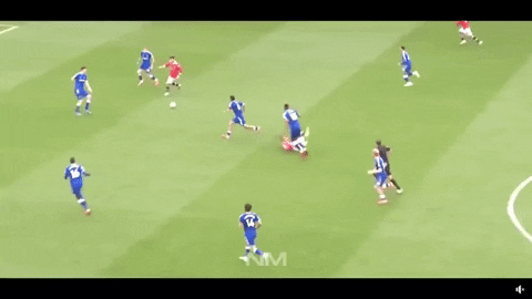 trienst giphygifmaker ronaldo GIF